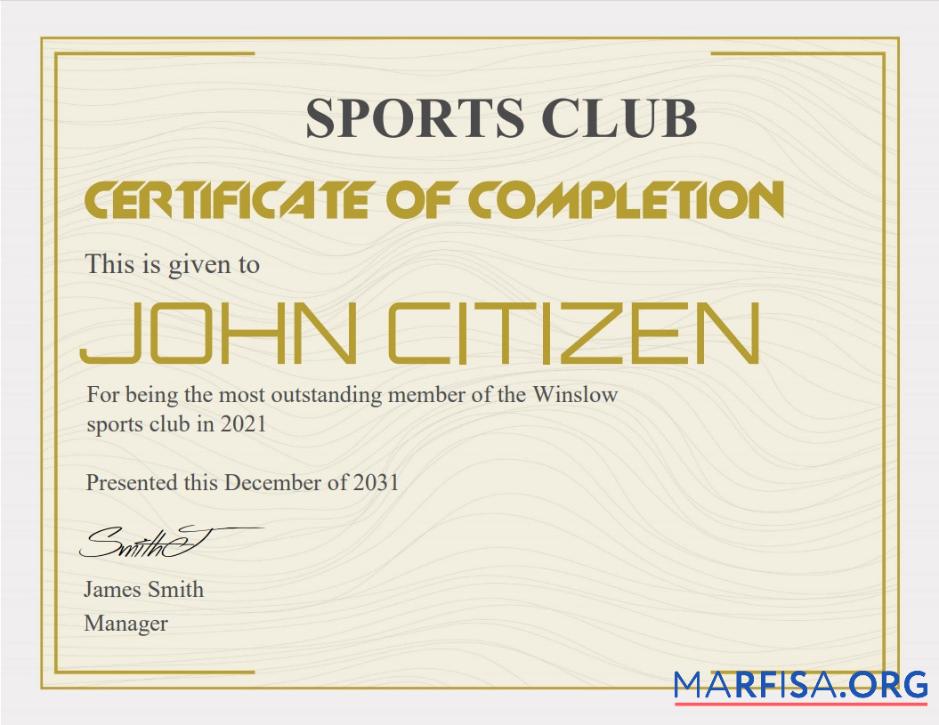 Printable USA Recognition cert Version 3 template